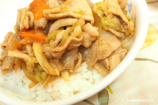 うちごはん -豚肉で丼-