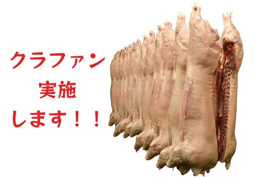クラウドファンディングに挑戦します!