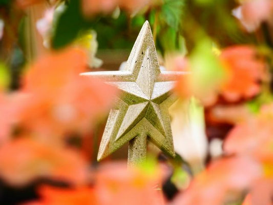 クリスマスまであと少し