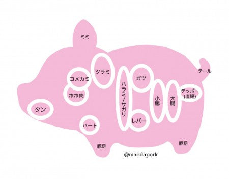【国産】豚ガツ　(ボイル胃袋)  /　500g